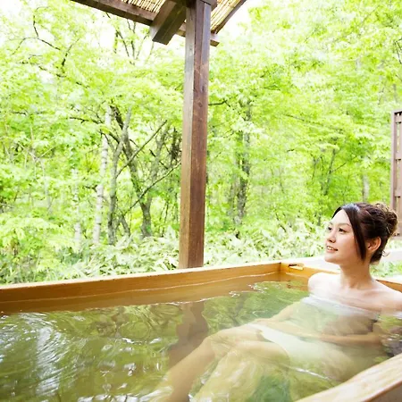 Miyama Ouan Kyoritsu Resort Takayama  Exterior photo A woman bathing in a hot spring